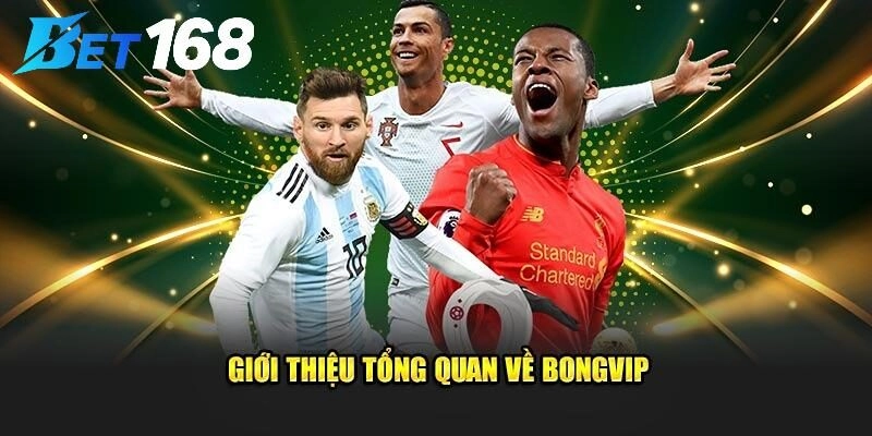 Đôi nét sơ lược về thương hiệu siêu hot Bongvip