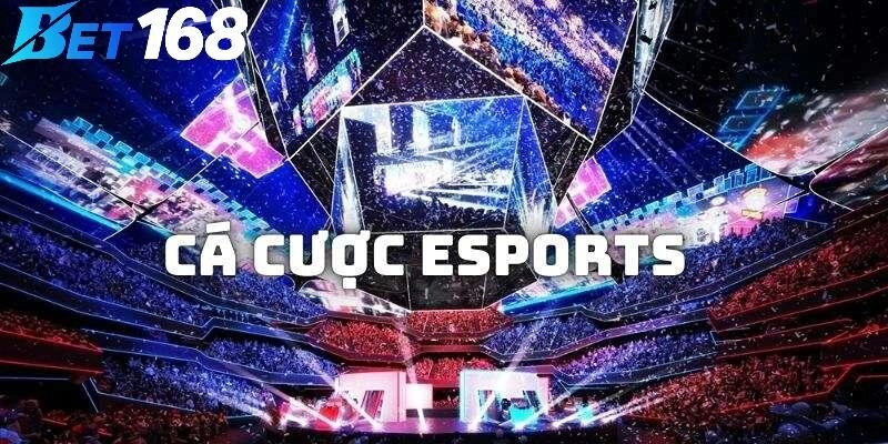 Giao diện rất sống động, hình ảnh siêu sắc nét