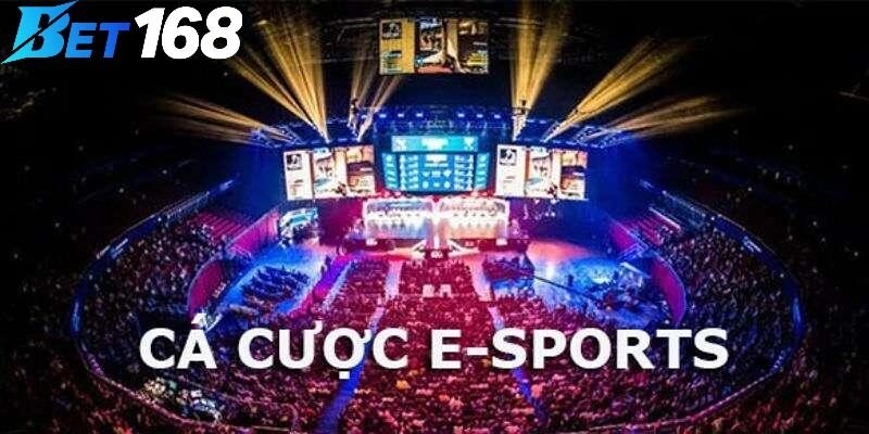 Cá cược esports là gì?