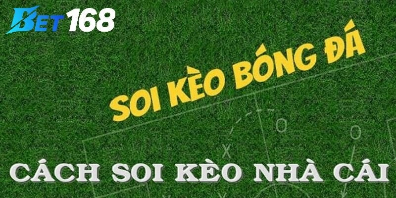 Hiểu chi tiết về các loại tỷ lệ kèo ki gia nhập